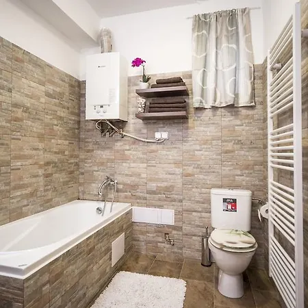 Apartment Dolni Namesti *