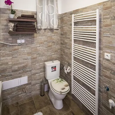Dolni Namesti Apartment Olomouc