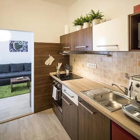 Dolni Namesti Apartment