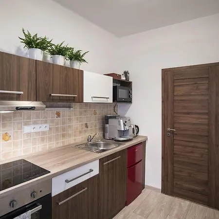 Dolni Namesti Apartment *