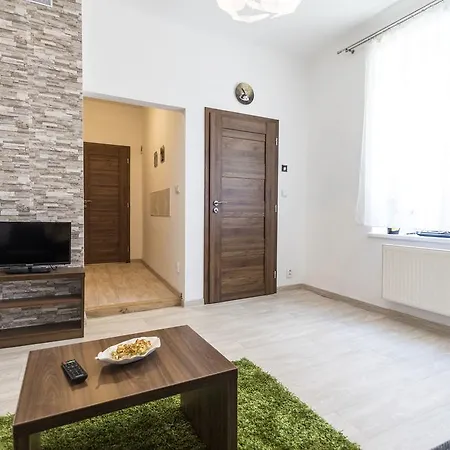 Dolni Namesti Apartment *