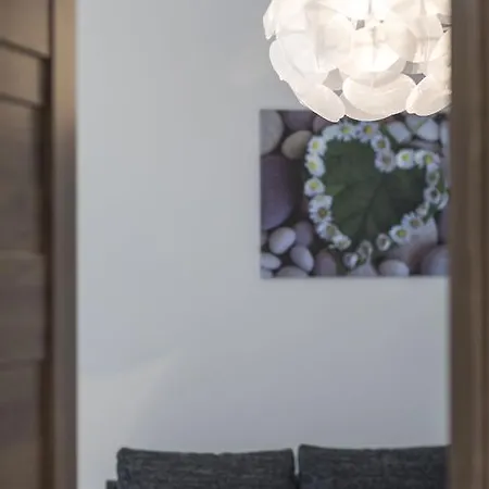 Apartment Dolni Namesti *