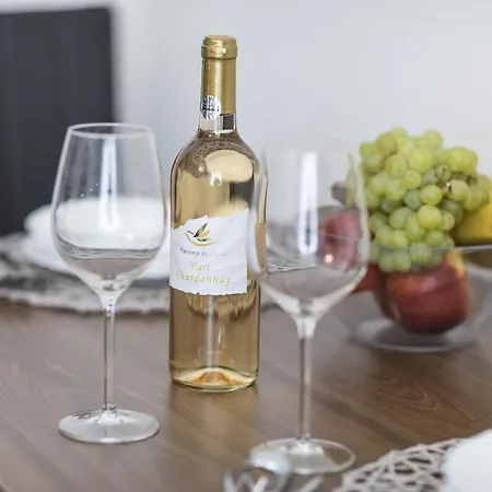 Apartment Dolni Namesti Olomouc