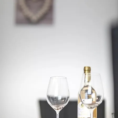 Dolni Namesti Apartment