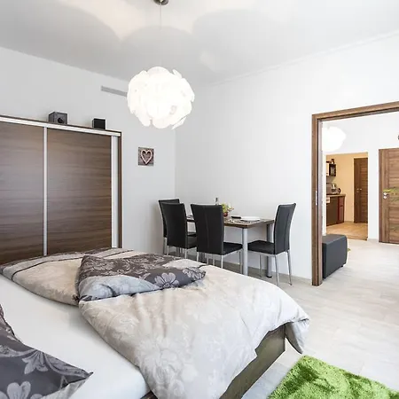 Dolni Namesti Apartment